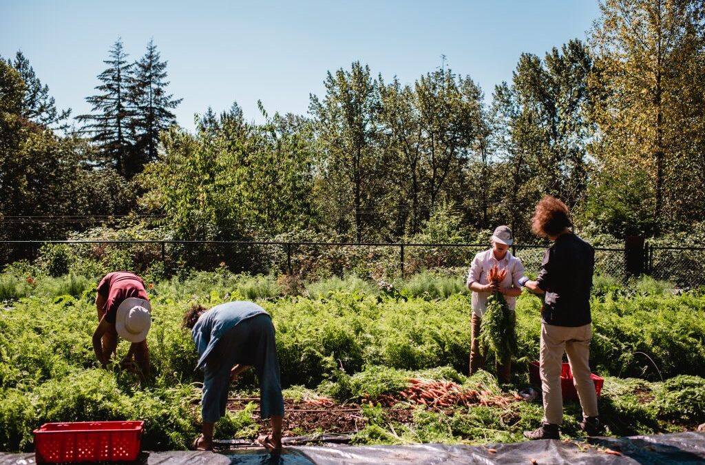 Become a Farm Intern!