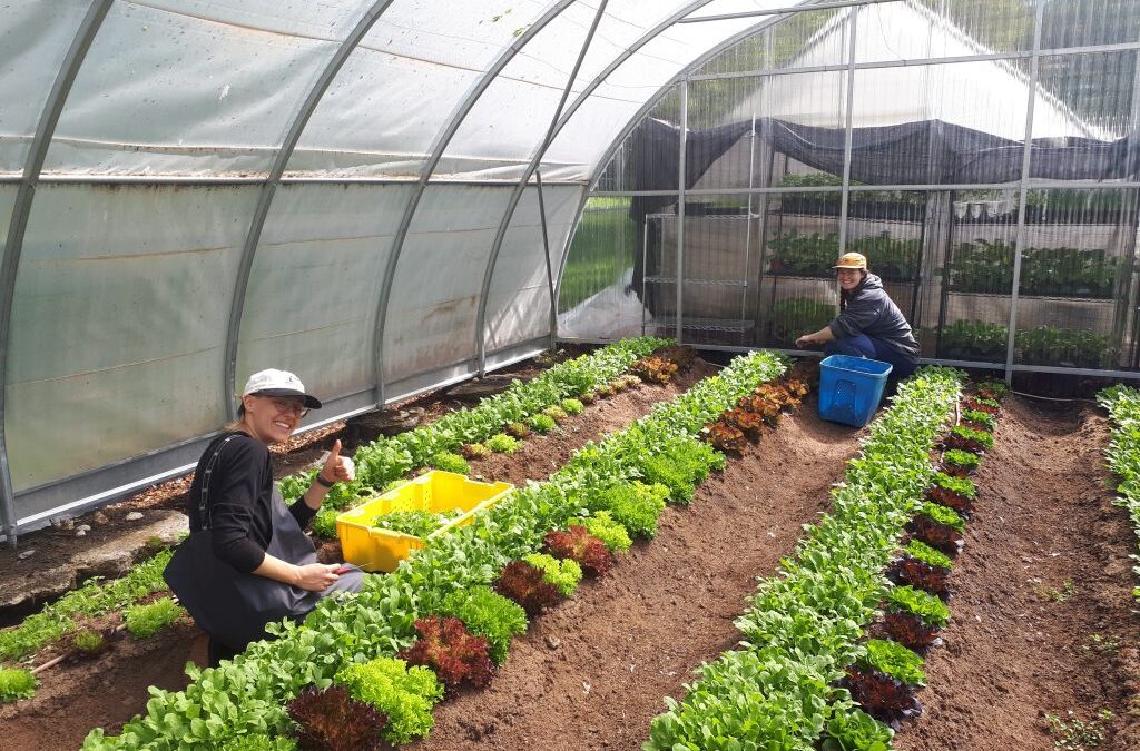 We’re Hiring for the 2023 Season!