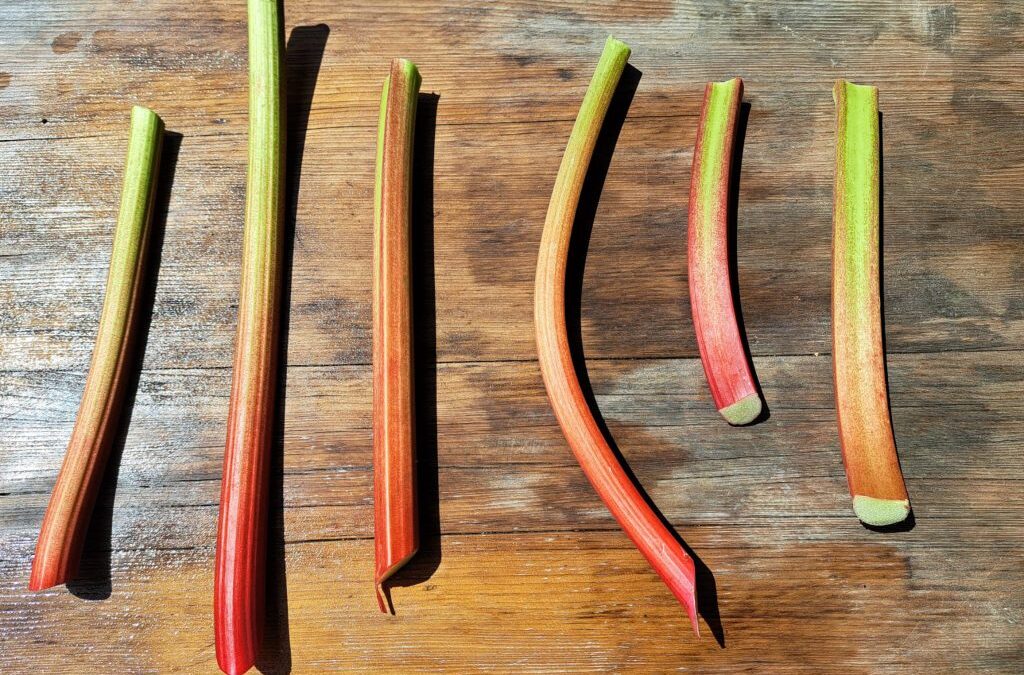 Fresh Sheet & Market Vendors for May 13th, 2023