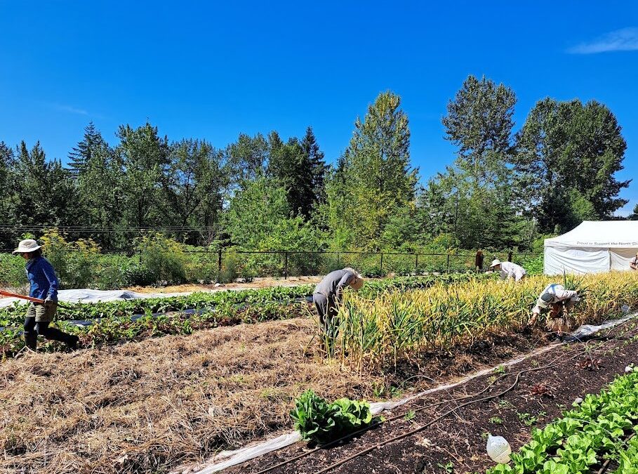 Fresh Sheet & Market Vendors for August 5th, 2023