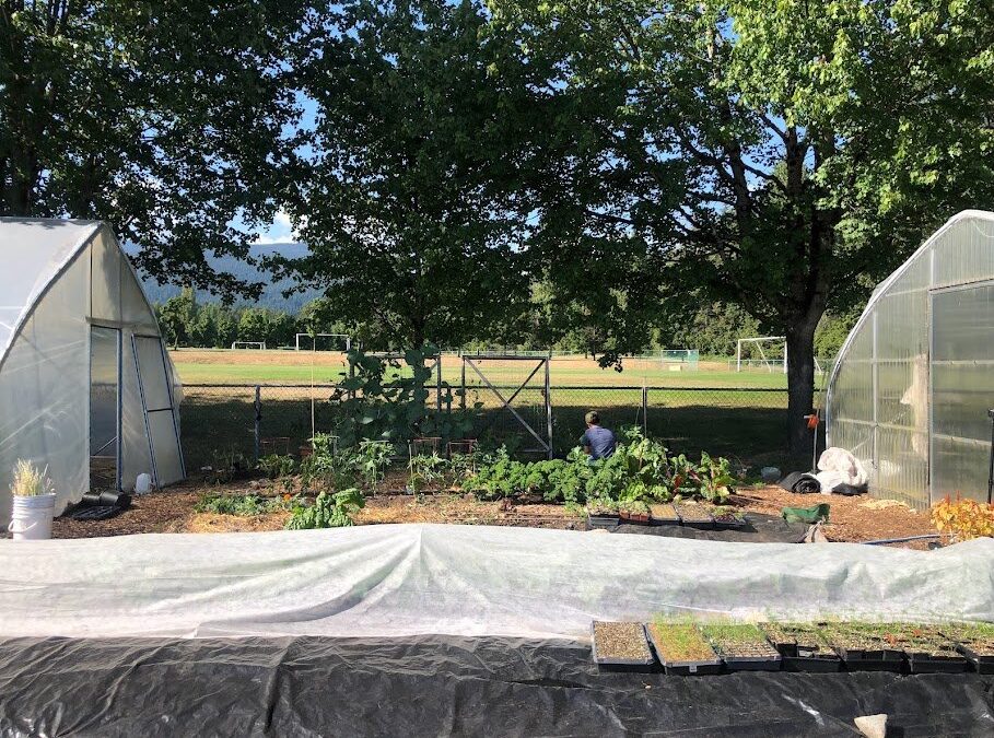 Fresh Sheet & Market Vendors for July 15th, 2023