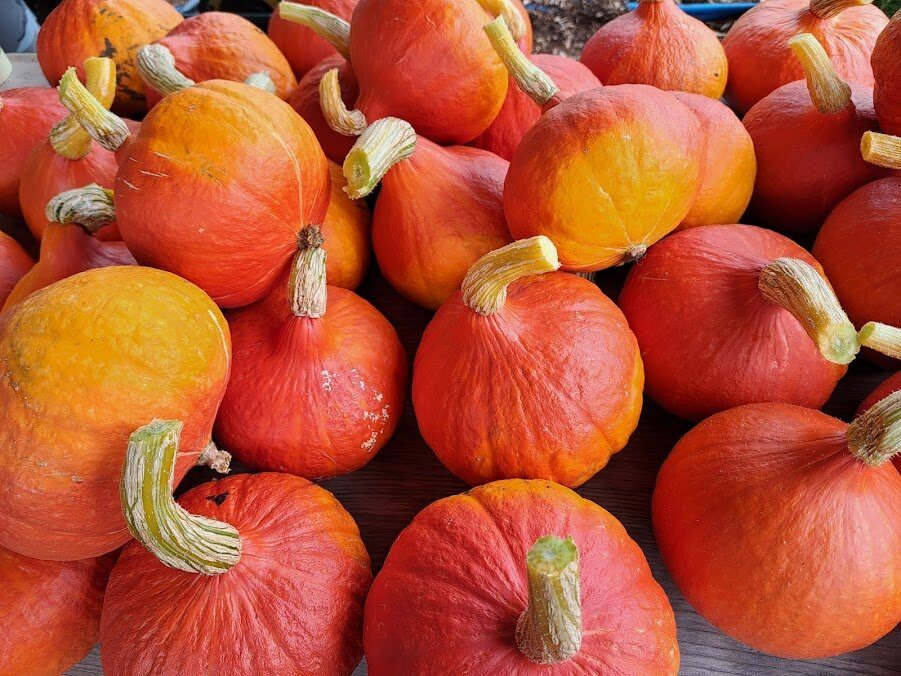 Fresh Sheet & Market Vendors for August 12th, 2023