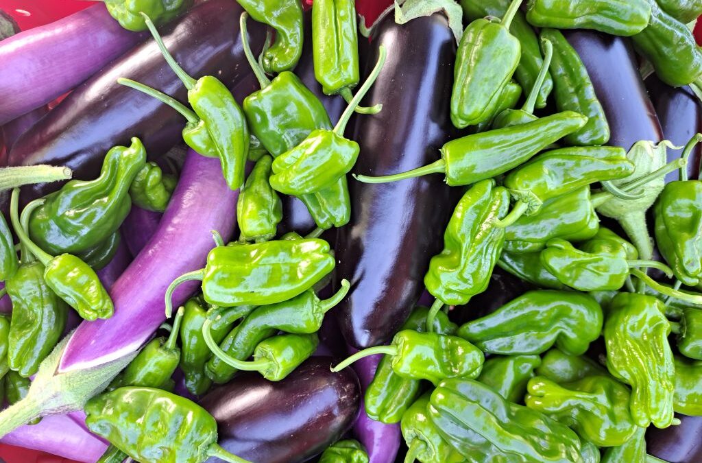 Fresh Sheet & Market Vendors for Sept 2nd, 2023