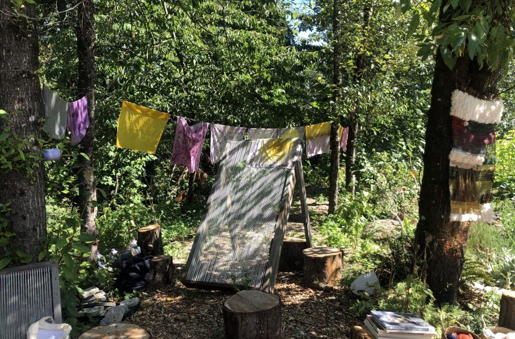 Fresh Sheet & Market Vendors for August 19th, 2023