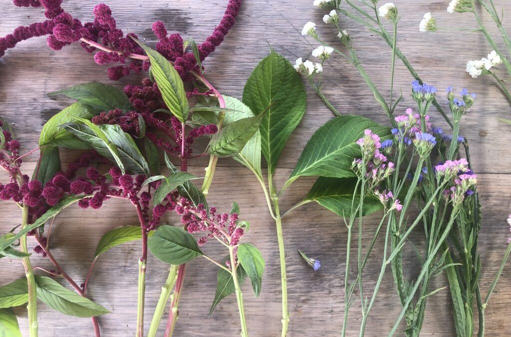 Fresh Sheet & Market Vendors for Sept 16th, 2023