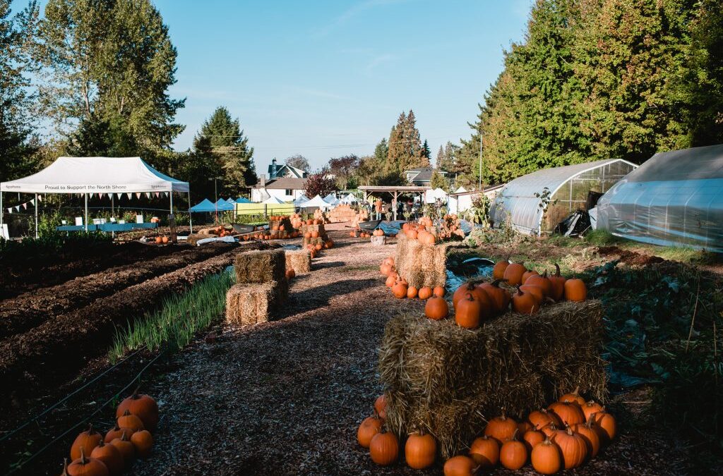 Fresh Sheet & Market Vendors for October 7th, 2023