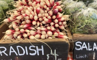 Fresh Sheet & Market Vendors for  May 11th, 2024!