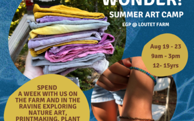 Earth Wonder Summer Art Camp 2024!