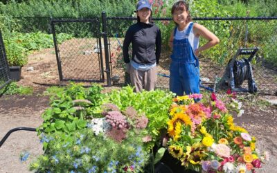 We’re Hiring for the 2026 Season!